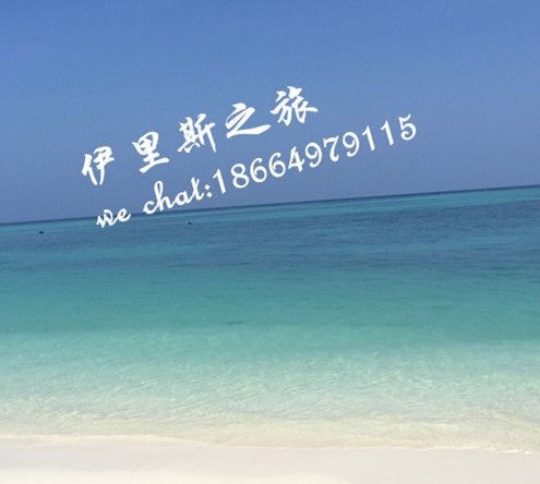 伊里斯之旅店铺近30天销售额数据
